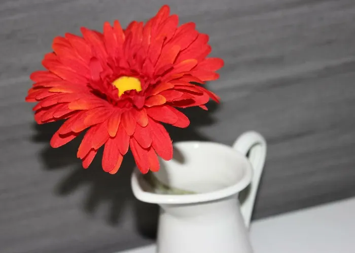 Alboi Loft Ferienhaus Aveiro